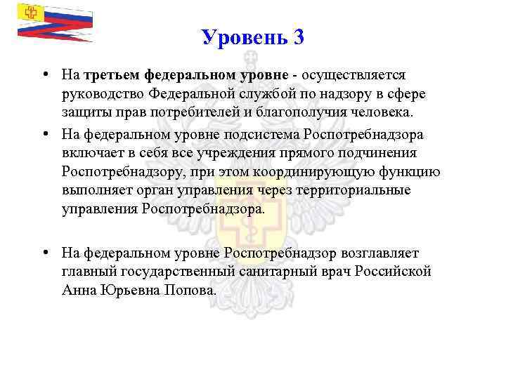 Уровень 3 • На третьем федеральном уровне - осуществляется руководство Федеральной службой по надзору