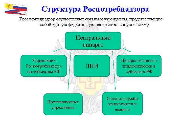 Структура Роспотребнадзора Госсанэпиднадзор осуществляют органы и учреждения, представляющие собой единую федеральную централизованную систему Центральный