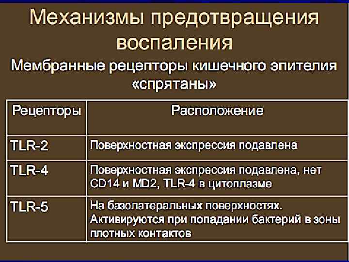 Юридические механизмы защиты прав человека в российской федерации 10 класс презентация