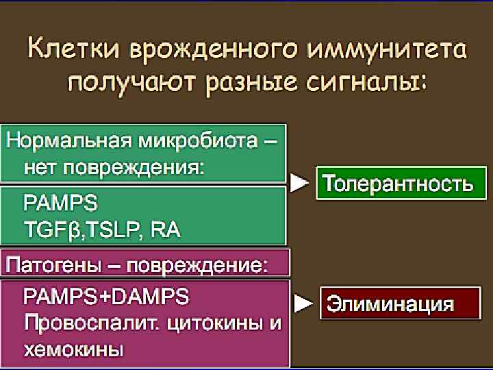 Международные механизмы