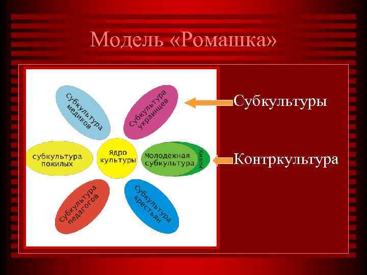 Модель «Ромашка» Субкультуры Контркультура 