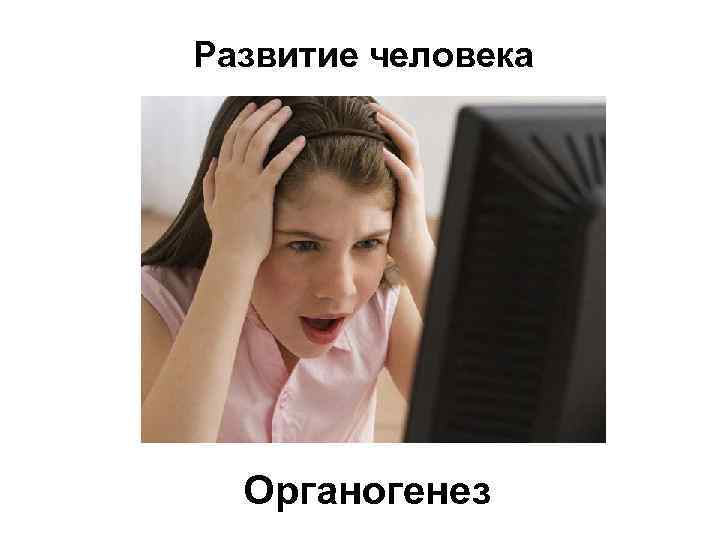 Развитие человека Органогенез 