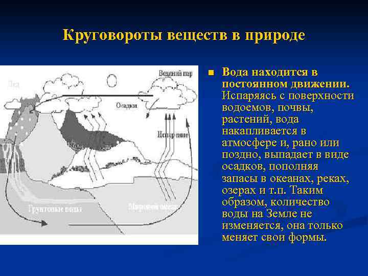 Круговороты веществ в природе n Вода находится в постоянном движении. Испаряясь с поверхности водоемов,