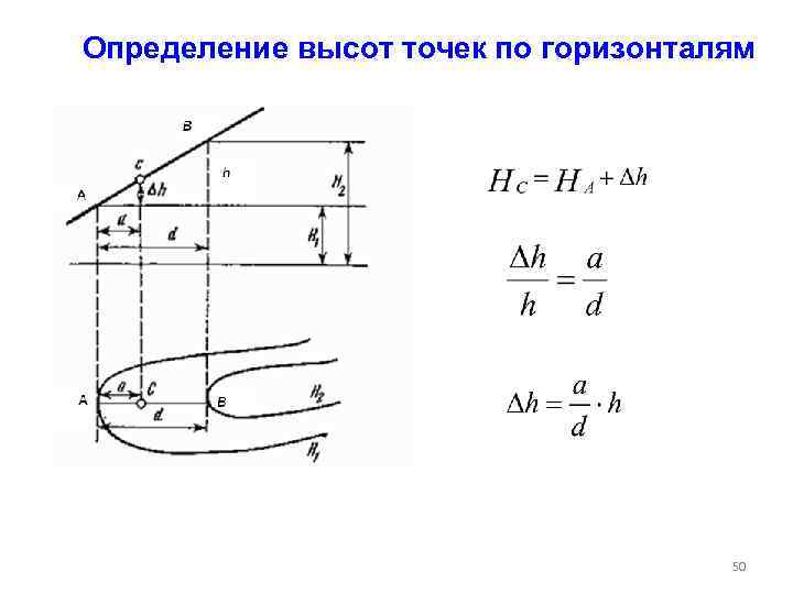 Определение высот точек по горизонталям 50 
