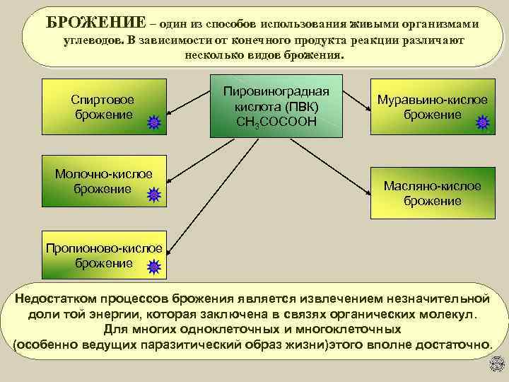  БРОЖЕНИЕ – один из способов использования живыми организмами углеводов. В зависимости от конечного