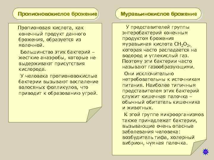 Пропионовокислое брожение Муравьинокислое брожение Пропионовая кислота, как У представителей группы конечный продукт данного энтеробактерий