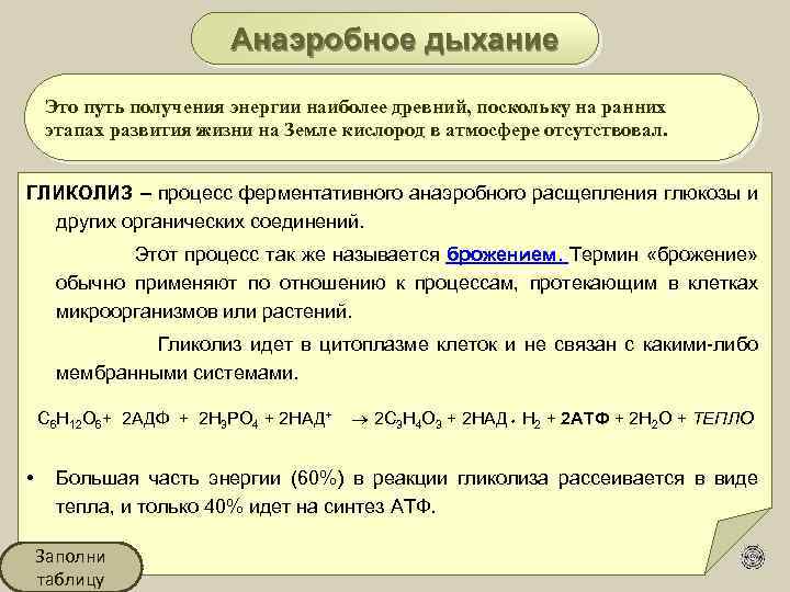  Анаэробное дыхание Это путь получения энергии наиболее древний, поскольку на ранних этапах развития