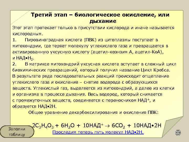  Третий этап – биологическое окисление, или дыхание Этот этап протекает только в присутствии