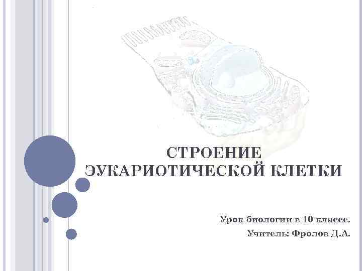 СТРОЕНИЕ ЭУКАРИОТИЧЕСКОЙ КЛЕТКИ Урок биологии в 10 классе. Учитель: Фролов Д. А. 