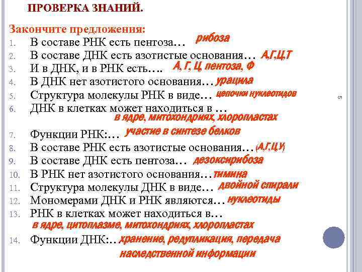 ПРОВЕРКА ЗНАНИЙ. наследственной информации 5 Закончите предложения: 1. В составе РНК есть пентоза… рибоза