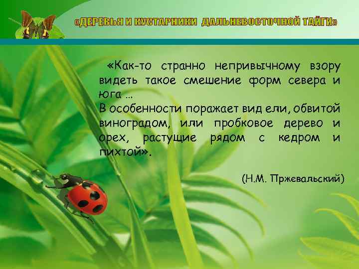 «Как-то странно непривычному взору видеть такое смешение форм севера и юга … В