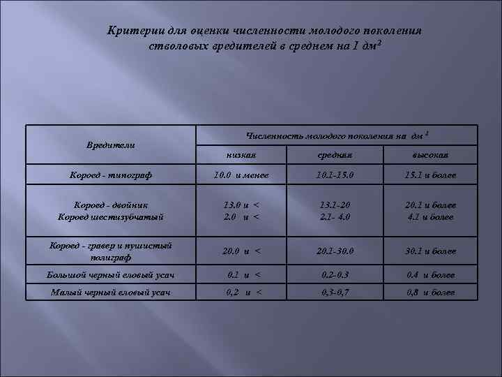 Критерии для оценки численности молодого поколения стволовых вредителей в среднем на 1 дм 2