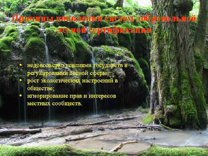 Причины появления систем добровольной лесной сертификации • недовольство усилиями государств в регулировании лесной сферы;