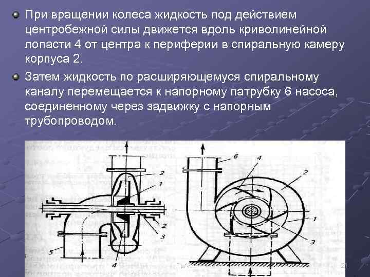 Насос действующий силой. Вращение центробежного насоса. Центробежная сила схема. Центробежные насосы с правым вращением. При вращении рабочего колеса жидкость под действием.