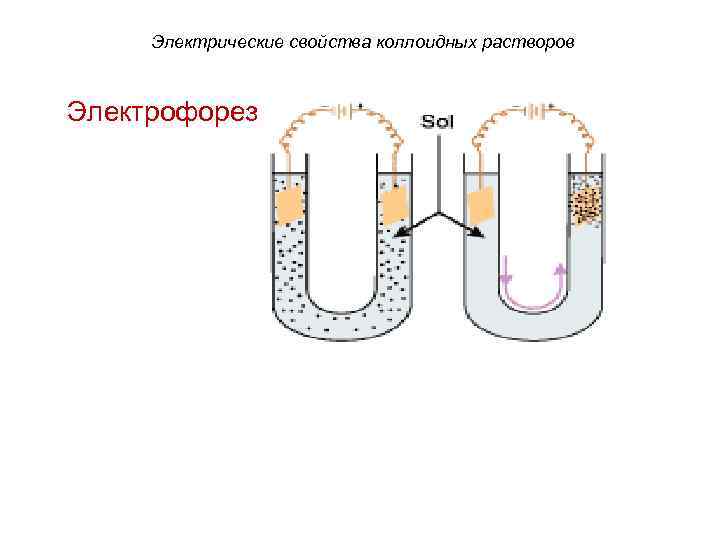  Электрические свойства коллоидных растворов Электрофорез 