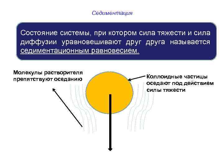  Седиментация Состояние системы, при котором сила тяжести и сила диффузии уравновешивают друга называется