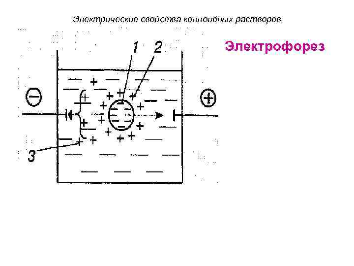 Электрические свойства коллоидных растворов Электрофорез 