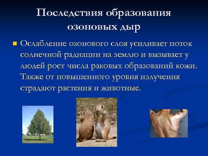   Последствия образования   озоновых дыр n  Ослабление озонового слоя усиливает