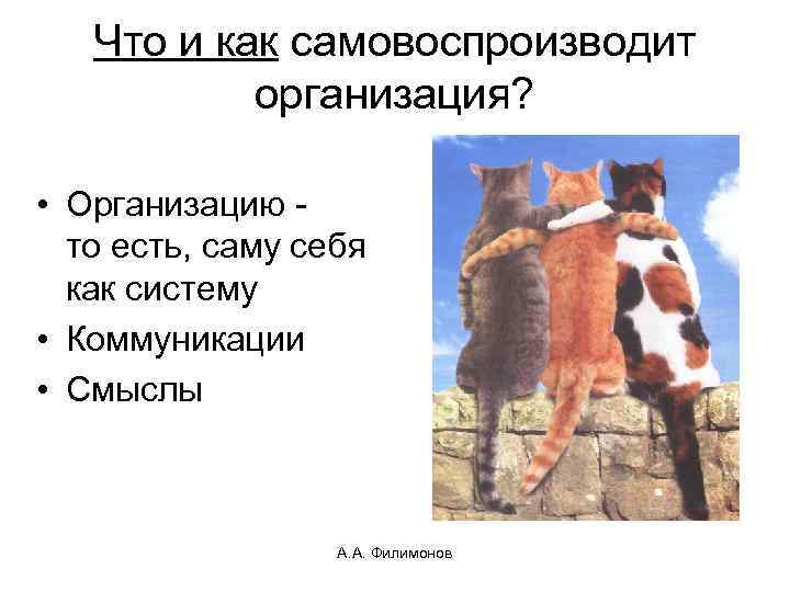 Что и как самовоспроизводит организация? • Организацию - то есть, саму себя как систему