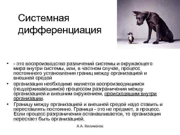 Системная дифференциация • - это воспроизводство различений системы и окружающего мира внутри системы, или,