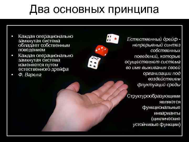 Два основных принципа • • • Каждая операционально замкнутая система обладает собственным поведением Каждая