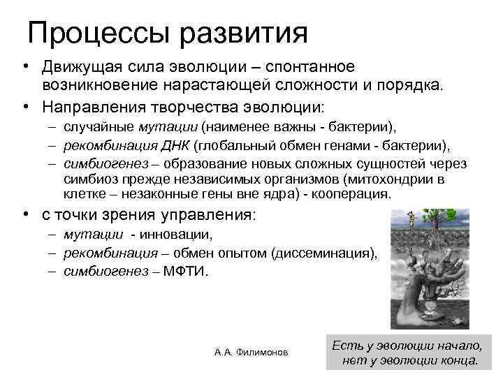 Процессы развития • Движущая сила эволюции – спонтанное возникновение нарастающей сложности и порядка. •