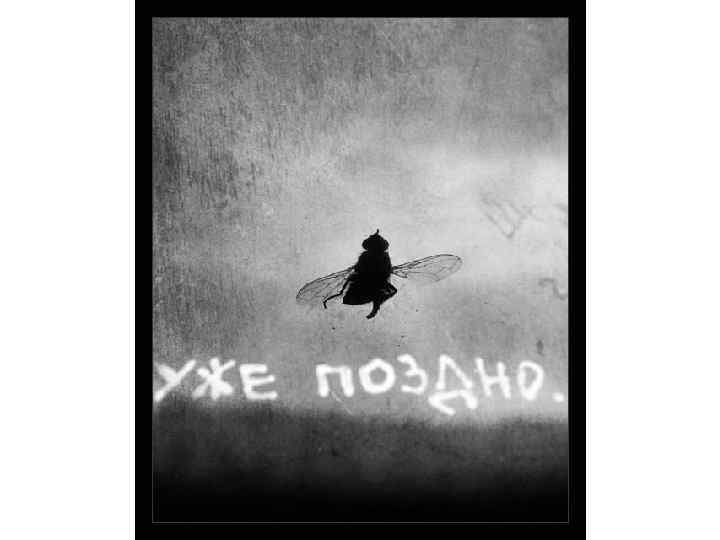 А. А. Филимонов 