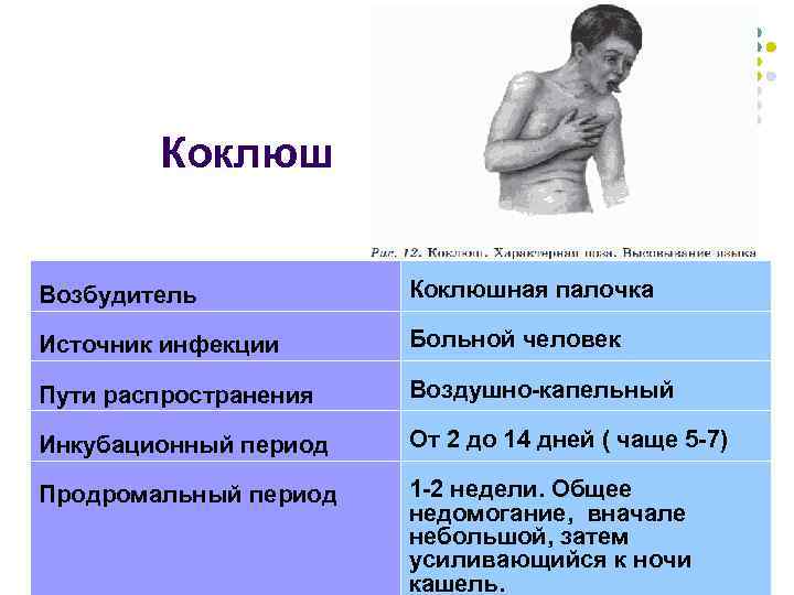 Коклюш Возбудитель Коклюшная палочка Источник инфекции Больной человек Пути распространения Воздушно-капельный Инкубационный период От