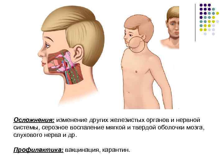 Осложнения: изменение других железистых органов и нервной системы, серозное воспаление мягкой и твердой оболочки
