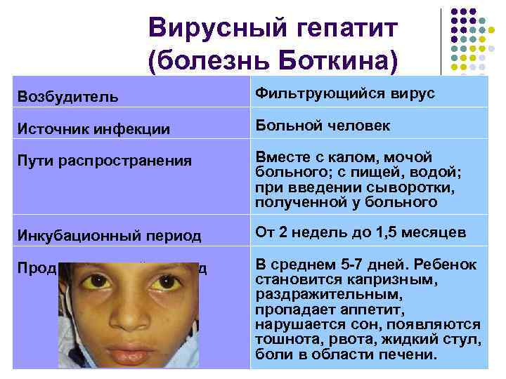 Вирусный гепатит (болезнь Боткина) Возбудитель Фильтрующийся вирус Источник инфекции Больной человек Пути распространения Вместе