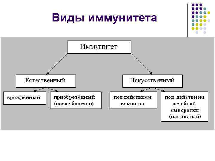 Виды иммунитета 