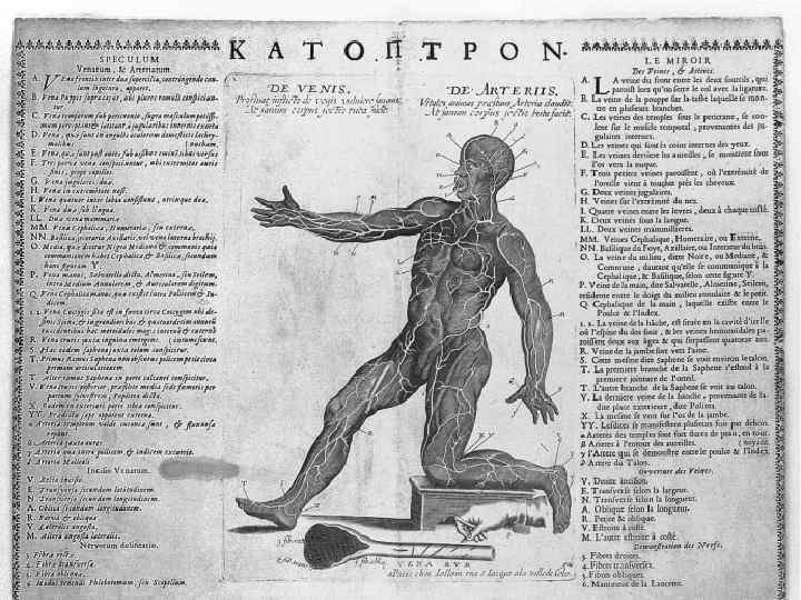 Кровопускание Однако основным универсальным методом, которым лечили всех подряд, являлась флеботомия (лат. phlebotomia) -