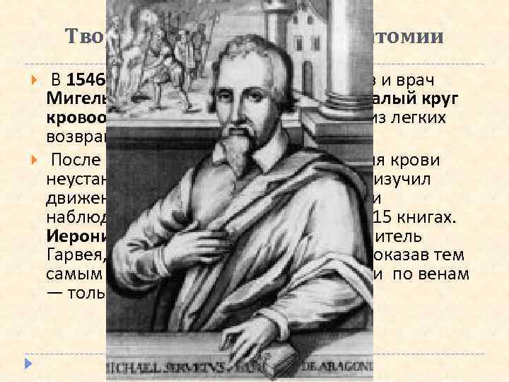 Творцы «золотого века» анатомии В 1546 г. испанский философ-богослов и врач Мигель Сервет (1509—