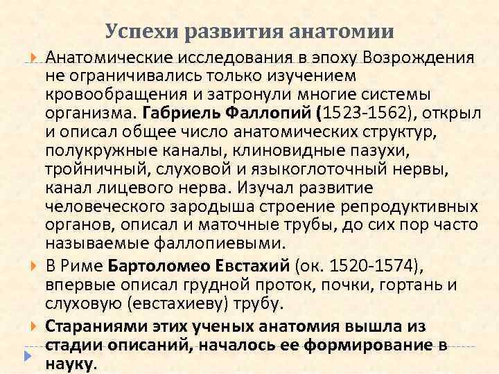 Успехи развития анатомии Анатомические исследования в эпоху Возрождения не ограничивались только изучением кровообращения и