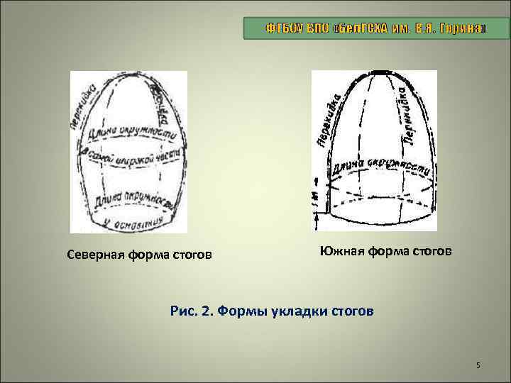 Северная форма стогов Южная форма стогов Рис. 2. Формы укладки стогов 5 