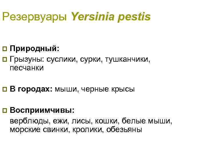 Резервуары Yersinia pestis Природный: p Грызуны: суслики, сурки, тушканчики, песчанки p p В городах: