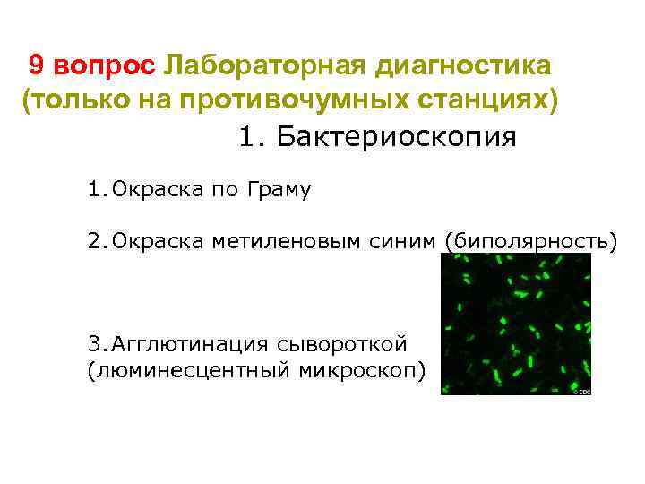 9 вопрос Лабораторная диагностика (только на противочумных станциях) 1. Бактериоскопия 1. Окраска по Граму