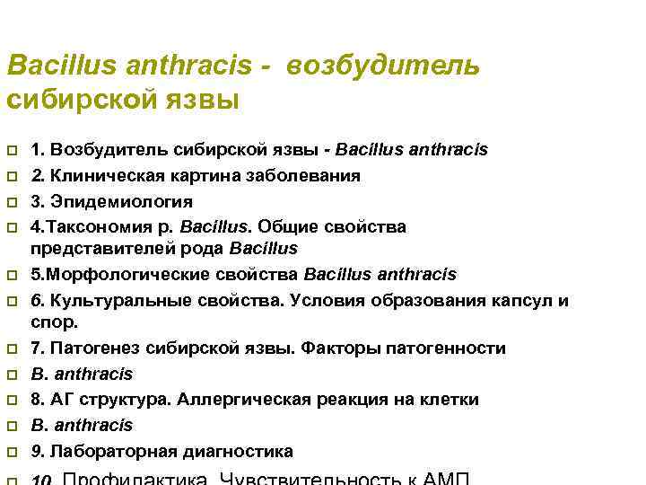 Bacillus anthracis - возбудитель сибирской язвы p p p 1. Возбудитель сибирской язвы -