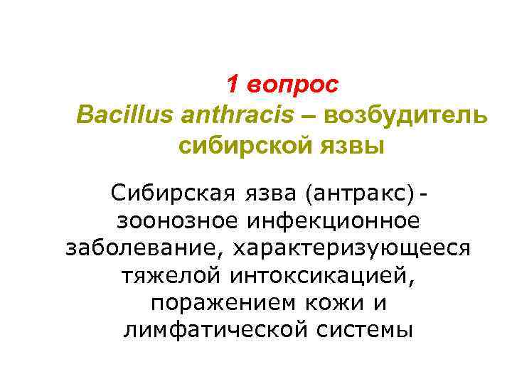 1 вопрос Bacillus anthracis – возбудитель сибирской язвы Сибирская язва (антракс) зоонозное инфекционное заболевание,