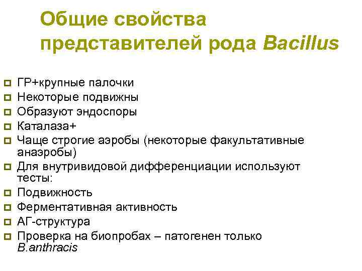 Общие свойства представителей рода Bacillus p p p p p ГР+крупные палочки Некоторые подвижны