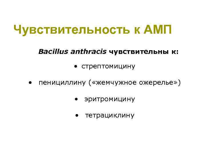Чувствительность к АМП Bacillus anthracis чувствительны к: • стрептомицину • пенициллину ( «жемчужное ожерелье»