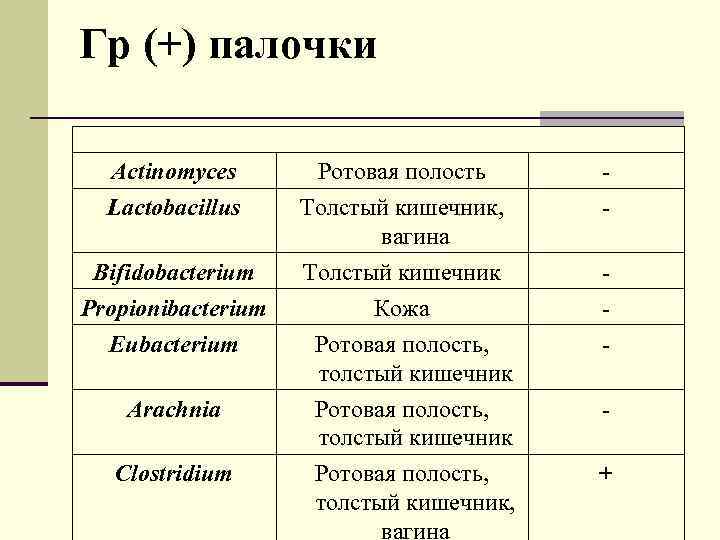 Гр (+) палочки Actinomyces Ротовая полость - Lactobacillus Толстый кишечник, - вагина Bifidobacterium Толстый