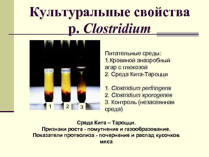 Культуральные свойства р. Clostridium Питательные среды: 1. Кровяной анаэробный агар с глюкозой 2. Среда