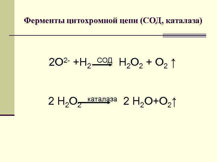 Ферменты цитохромной цепи (СОД, каталаза) 2 О 2 - +Н 2 СОД Н 2