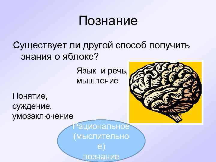 Познание Существует ли другой способ получить знания о яблоке? Язык и речь, мышление Понятие,