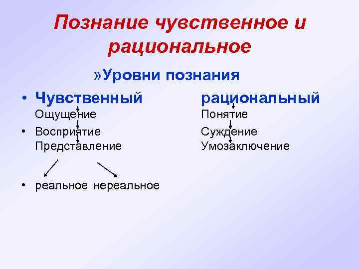 Познание чувственное и рациональное » Уровни познания • Чувственный рациональный Ощущение • Восприятие Представление