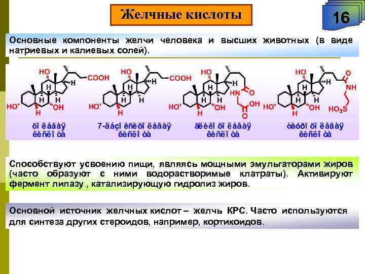  Желчные кислоты 16 Основные компоненты желчи человека и высших животных (в виде натриевых