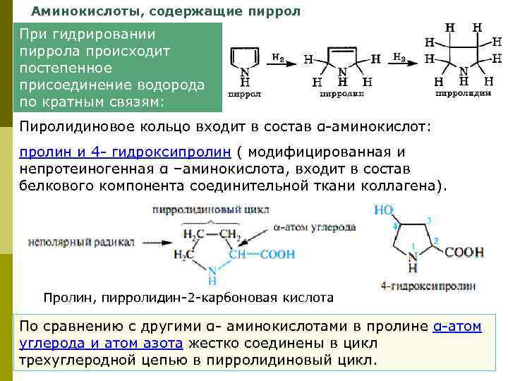  Аминокислоты, содержащие пиррол При гидрировании пиррола происходит постепенное присоединение водорода по кратным связям: