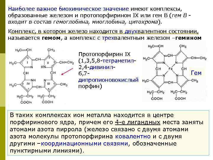 Наиболее важное биохимическое значение имеют комплексы, образованные железом и протопорфирином IX или гем В