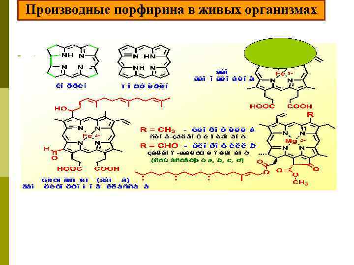 Производные порфирина в живых организмах 